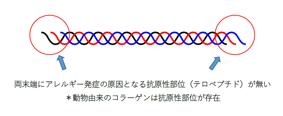 ポリペプチドの三重らせん構造体