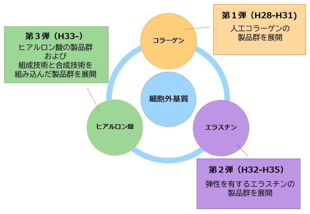 ユニクスが目指す細胞外気質事業